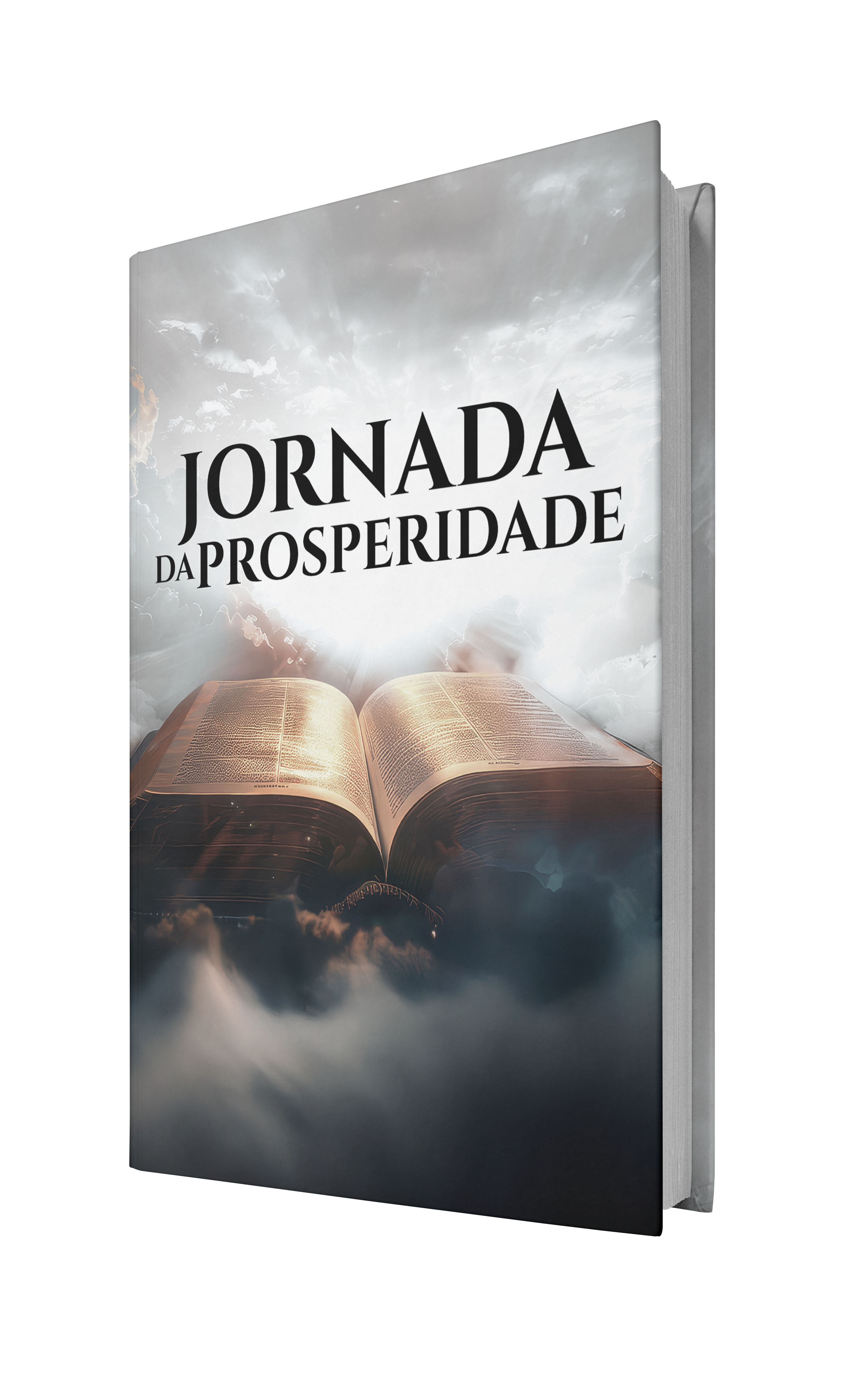 Manual da Prosperidade Bíblica - Um primeiro passo para colocar ordem